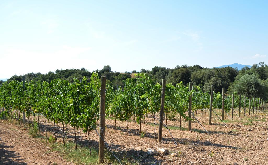 Tenuta Di Maro Sticciano Екстериор снимка